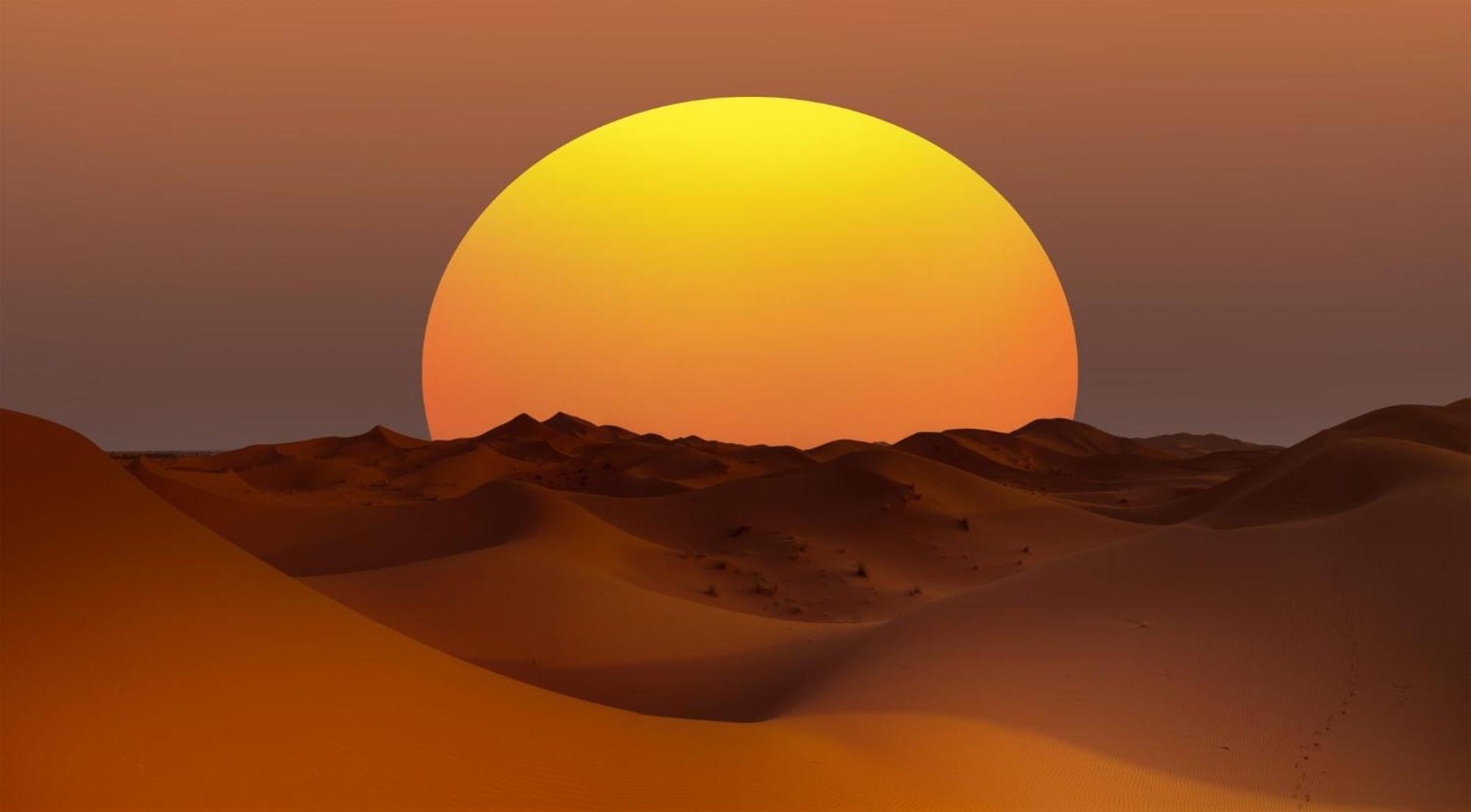 Desert Camel Trek メルズーガ エクステリア 写真