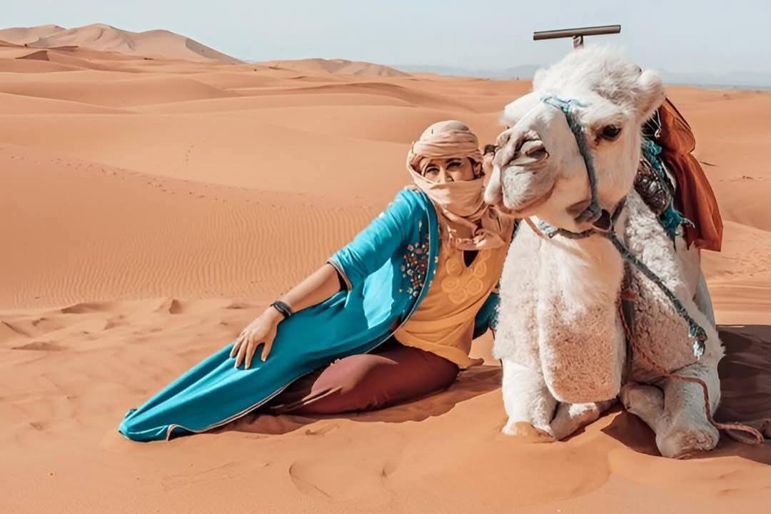 Desert Camel Trek メルズーガ エクステリア 写真